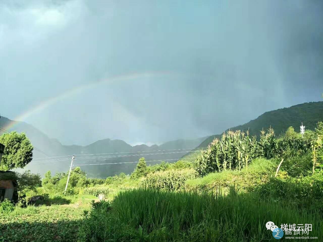 shower,sunshower)是一种天气现象,指在晴天或有阳光普照时发生的下雨