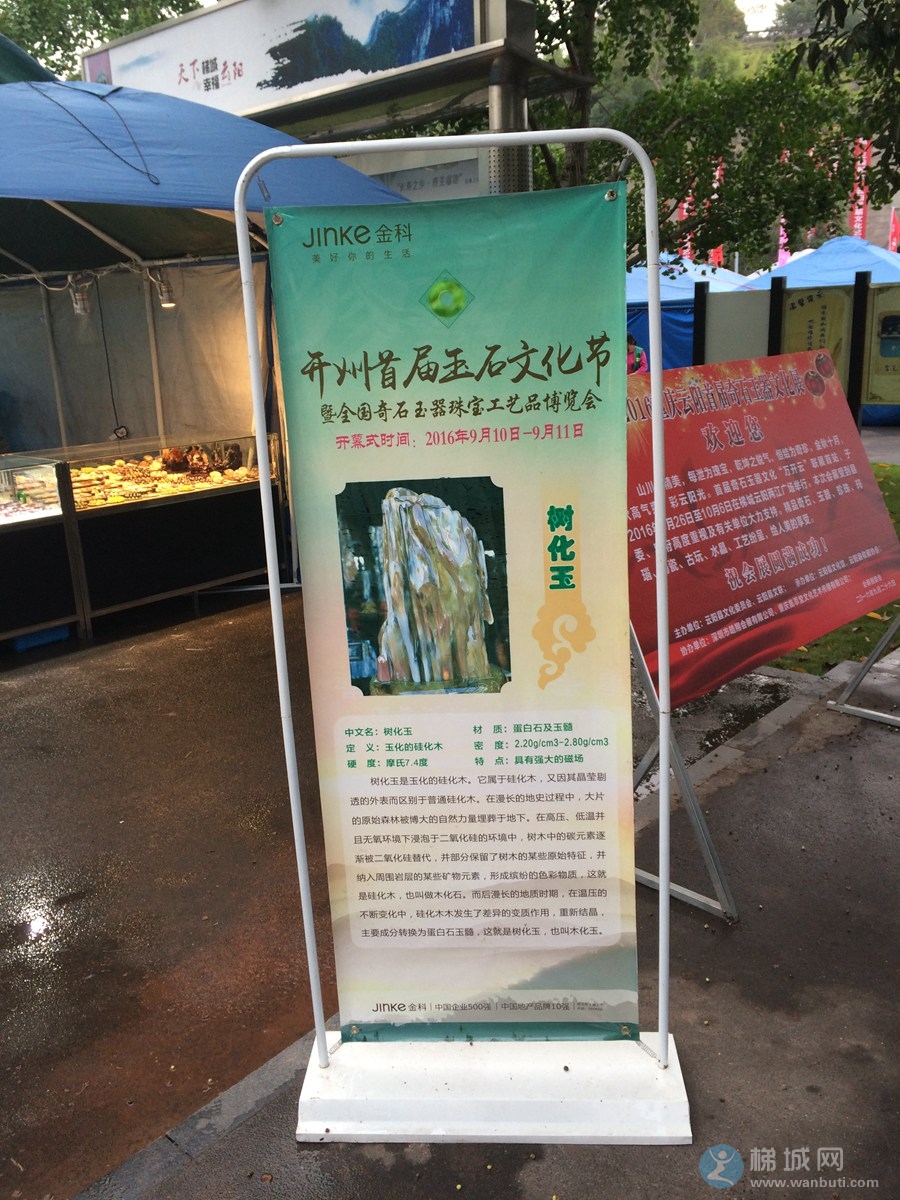 2016重庆云阳首届奇石玉器文化展！
