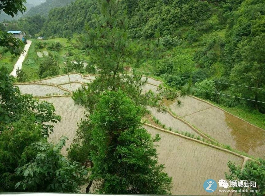 云阳大阳镇图片