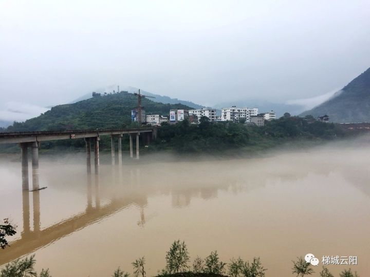 雨后的云阳南溪,云雾缭绕,犹如人间仙境,美得真不像话