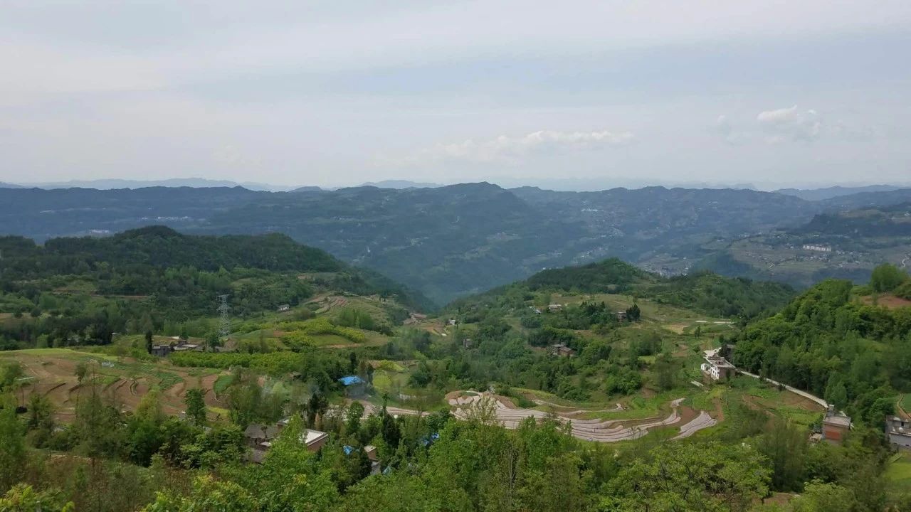 好消息云阳县双土镇首届插秧节将在塔棚坪天举行