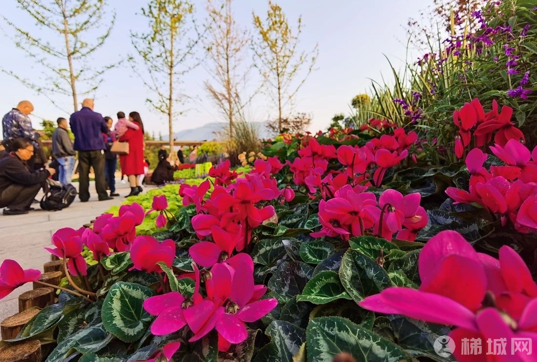 云阳滨江公园这里的花卉艺术展，大家去“打卡”了吗？